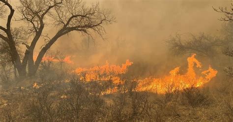 Texas Fires Map And Satellite Images Show Where Wildfires Are Burning In Panhandle And Oklahoma