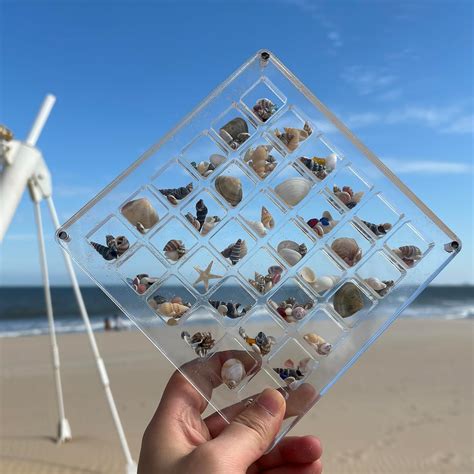 Amazon Xronslute Acrylic Magnetic Seashell Display Box Portable