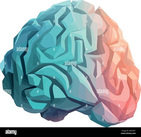 Human Brain Design Stock Vector Image Art Alamy