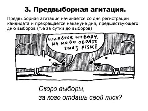 Отличительные черты выборов в демократическом обществе - презентация онлайн