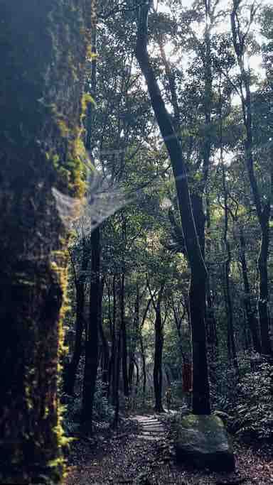 東滿晃晃 Hikingbook 陪你一起安全登山