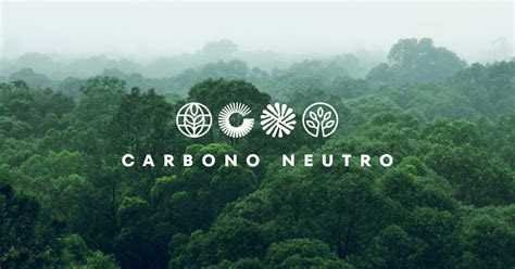 Carbono Neutro Um Compromisso Da Gt Building O Futuro