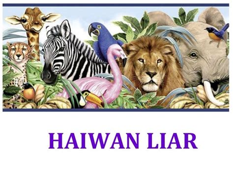 29 Sketsa Gambar Hewan Liar