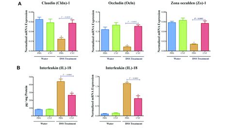 Catestatin Cst Maintains Colonic Mrna Levels Of Tight Junction Tj