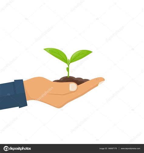 Planting Sapling Vector Stock Vector By Threecvet Gmail