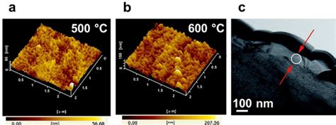 Afm Graphs Of Cao Single Crystals After Treatment In Co 2 At A 500 °c