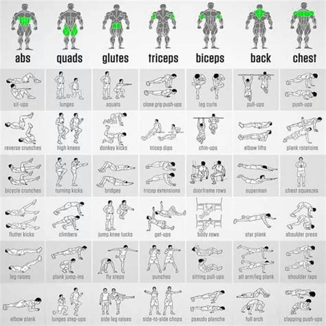 Full Body Workout Fitness Schema