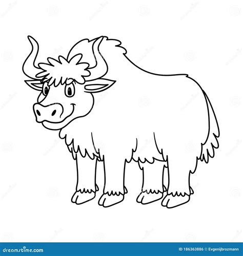 Yak Animal De Dibujos Animados Ilustración Para Educación Preescolar