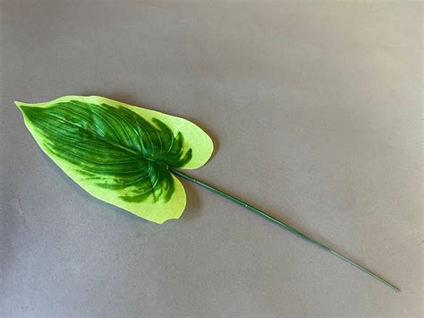 Купить искусственную зелень оптом в Беларуси: Минск, Гродно, Витебск ...