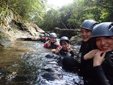 From Iriomote Island Jungle Canyoning Experience Yubu Island