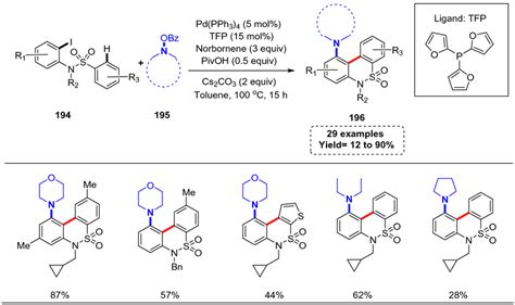 Suns Pd NBE Catalyzed Ortho CH Amination And Ipso Arylation Strategy