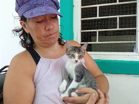 Fundación Gaba on Twitter Rosita necesita ayuda Tenemos este