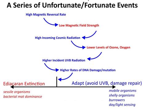 The Current Magnetic Flip Will Have Dramatic Consequences For Life on ...