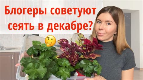 НЕ СПЕШИТЕ СЕЯТЬ ЭТИ ЦВЕТЫ, не смотря на советы. Что действительно ...