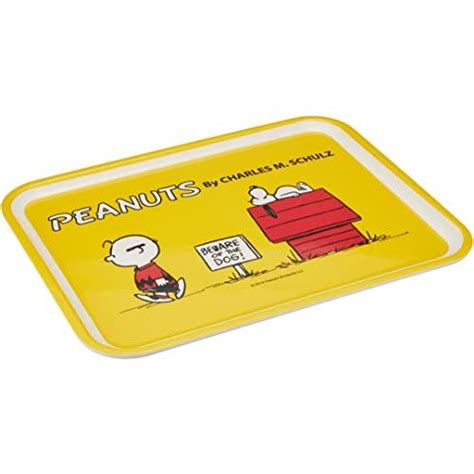 大西賢製販 Peanuts Snoopyスヌーピー メラミントレイm Snスヌーピーandcbチャーリー・ブラウン Py 1201