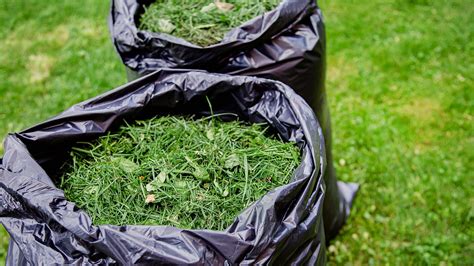 The Best Ways To Use Grass Clippings In Your Garden Lifehacker