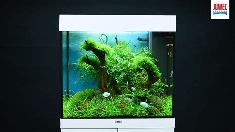 Rio 125 LED JUWEL Aquarium