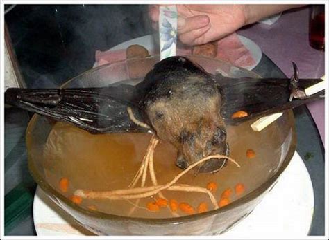 Delicious Bat Soup (11 pics)