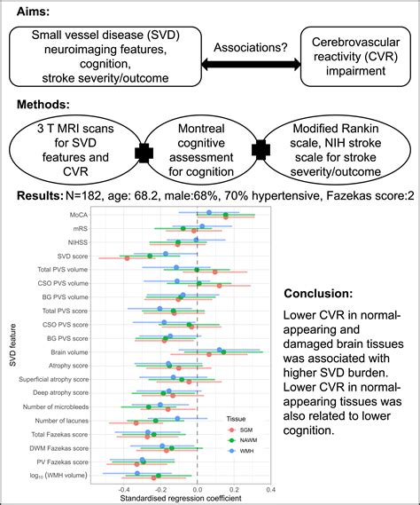 Cerebrovascular Reactivity In Patients With Small Vessel Disease A