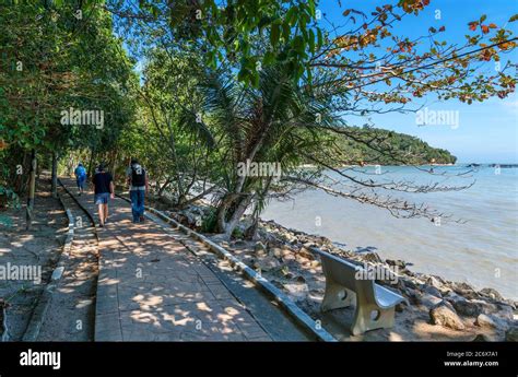 Trail Through Penang National Parkteluk Bahang Penang Malaysia Stock