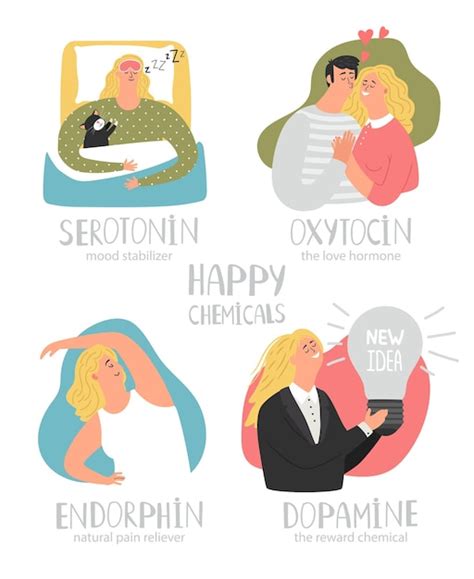 Premium Vector Endorphin Dopamine Oxytocin Serotonin Hormones