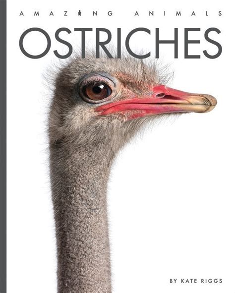 Book Farm LLC Nonfiction Books Ostriches 23