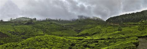Why To Visit Kerala In Monsoon Season Here Are Reasons