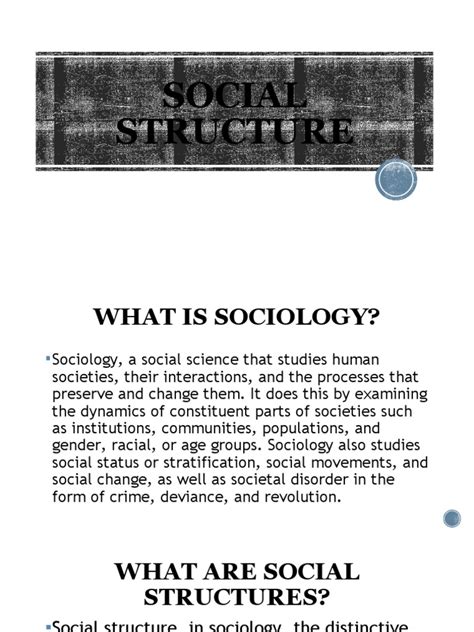 Social Structures | PDF | Social Structure | Sociology