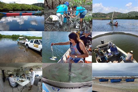 Curso de Engenharia de Pesca do Centro de Ciências Agrárias Ambientais