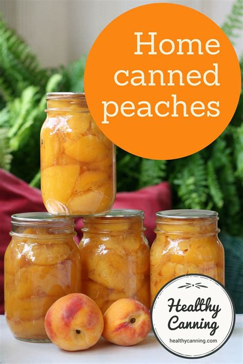 Peach Salsa Canning Recipe Ball