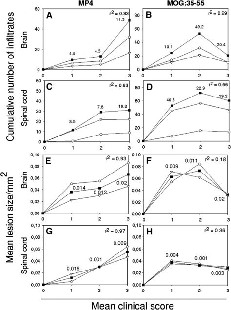 MP4 And MOG 3555 Induced EAE In C57BL 6 Mice Differentially Targets