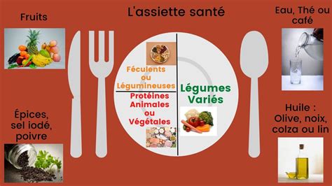 Comment avoir une alimentation saine et équilibrée Les conseils de