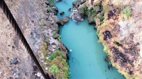 Tercemar Sungai Welang Pasuruan Berubah Warna Menjadi Hijau Tosca