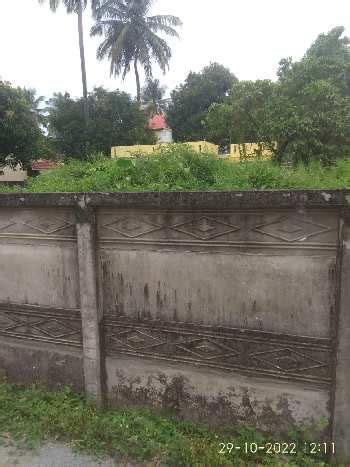 Agricultural Farm Land For Sale In Kozhinjampara Palakkad