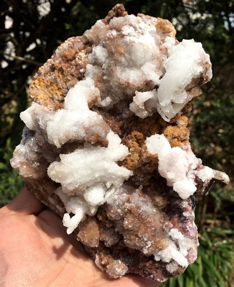 Natural Large Gypsum Selenite On Matrixgypsum Clustergypsum Etsy