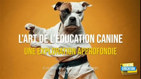 L'Art de l'Éducation Canine : Une Exploration Approfondie