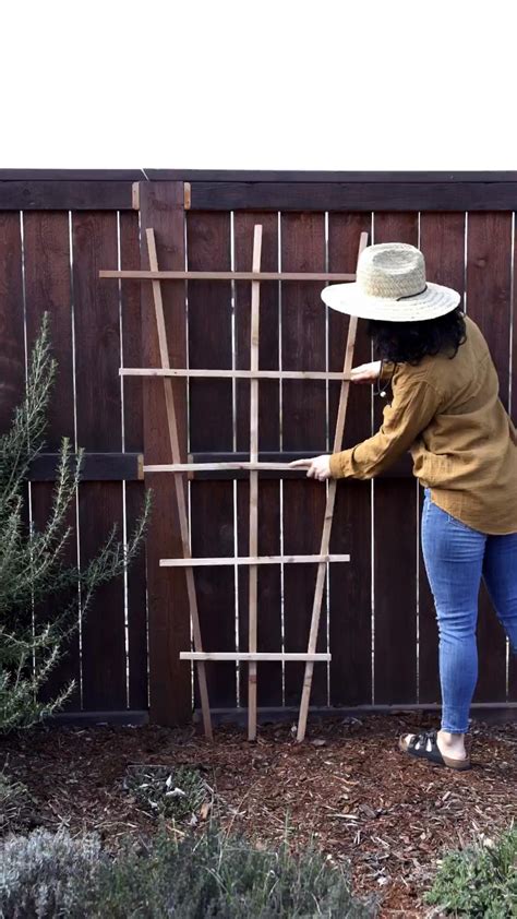 How To Build A Bamboo Trellis 3 Diy Ideas To Try Artofit