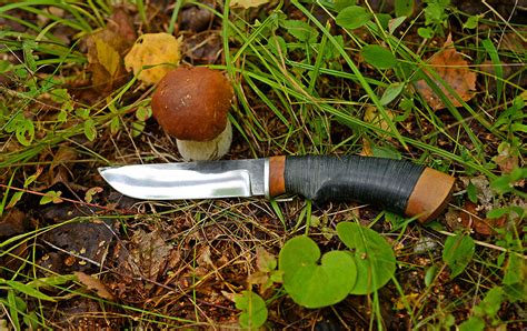 Нож "Грибник", клинок сталь 95Х18 со следами ковки, рукоять кожа ...