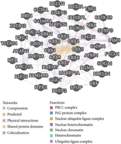 Genetic Alterations Interactions And Enrichment Analysis Of Cbxs In Download Scientific