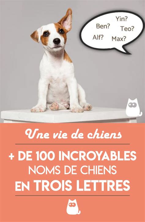 Noms de chiens en 3 lettres Plus de 100 noms pour mâles et femelles