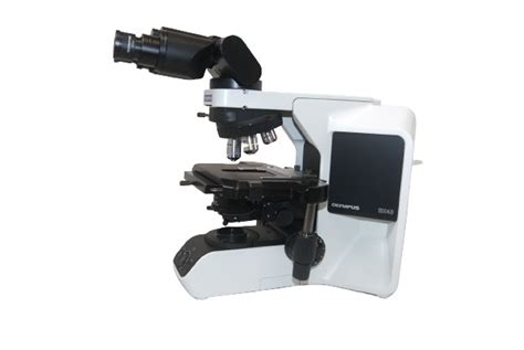 Olympus BX43 Microscope (Refurbished) - IMEB Inc.