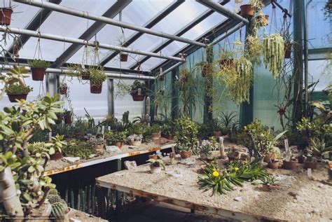 Теплица в китайском стиле (46 фото) - фото - картинки и рисунки ...