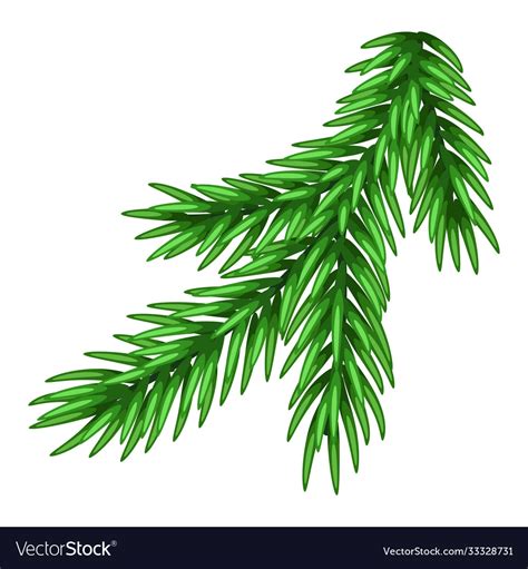 Spruce Branch Royalty Free Vector Image Vectorstock