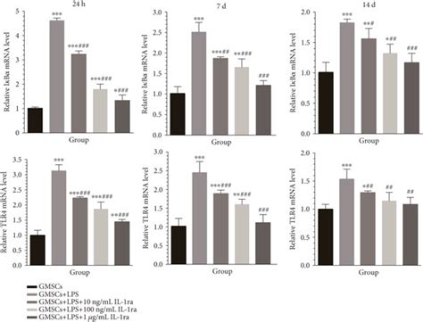 Il Ra Attenuates The P Gingivalis Lps Activated Tlr Mediated Nf B