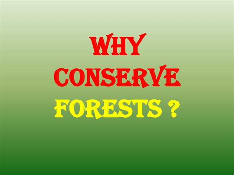 (PDF) WHY CONSERVE FORESTS - DOKUMEN.TIPS