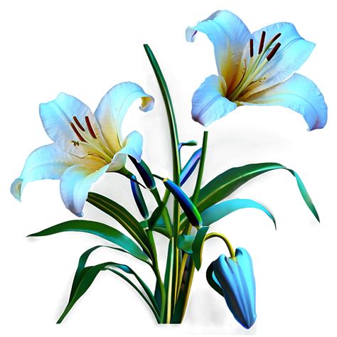Download Lily Flower Transparent Png Hhx33