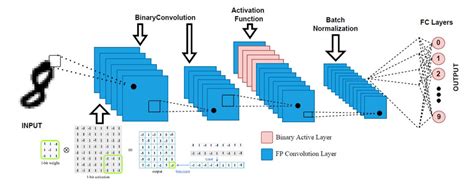 Architecture Of A Bnn Download Scientific Diagram