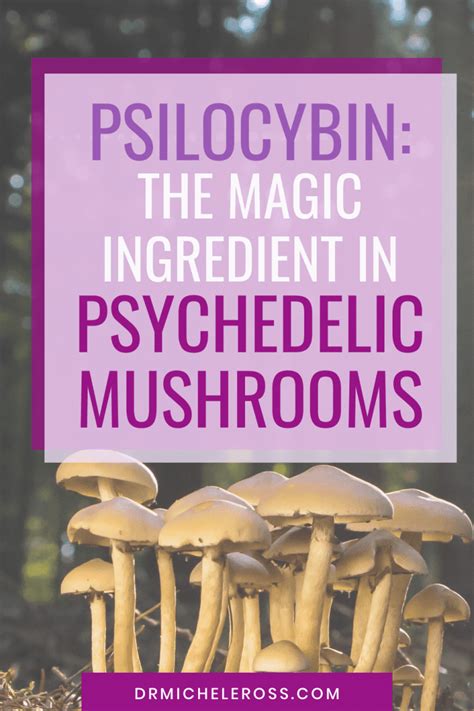 Benefits Of Psilocybin Micrdosing Magic Mushrooms Dr Ross