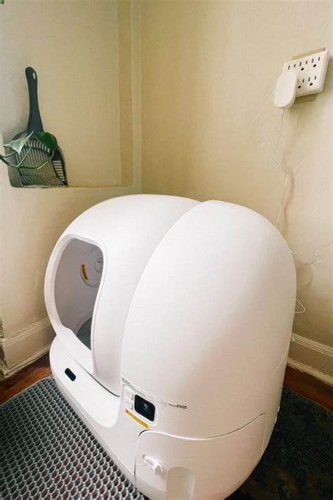 Honest Petkit Litter Box Review: Pros & Cons of After 30 Days Of Use