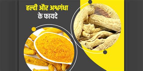 Benefits Of Turmeric And Ashwagandha Uses In Hindi हल्दी और अश्वगंधा